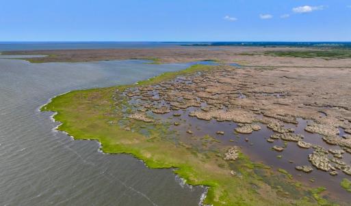 Photo #26 of Off Farrow Rd, Swan Quarter, NC 90.0 acres