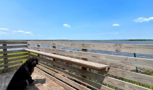 Photo #29 of Off Farrow Rd, Swan Quarter, NC 90.0 acres