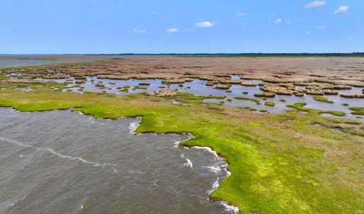 Photo #30 of Off Farrow Rd, Swan Quarter, NC 90.0 acres