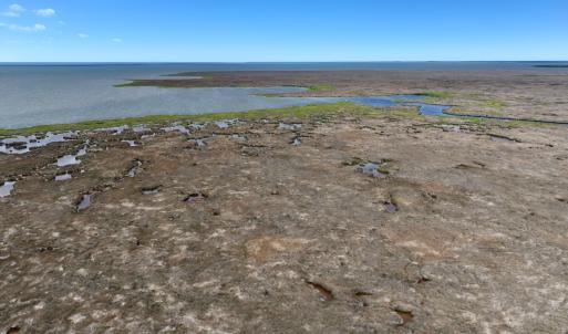 Photo #31 of Off Farrow Rd, Swan Quarter, NC 90.0 acres