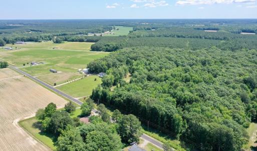 Photo #61 of 141 Arthur Majette Rd, Aulander, NC 22.0 acres