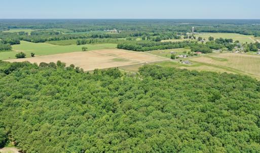 Photo #64 of 141 Arthur Majette Rd, Aulander, NC 22.0 acres