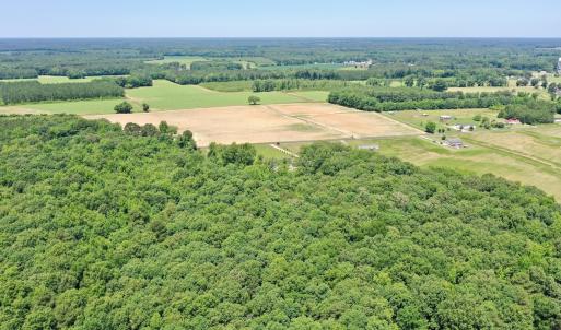 Photo #65 of 141 Arthur Majette Rd, Aulander, NC 22.0 acres
