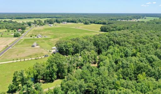 Photo #50 of 141 Arthur Majette Rd, Aulander, NC 22.0 acres