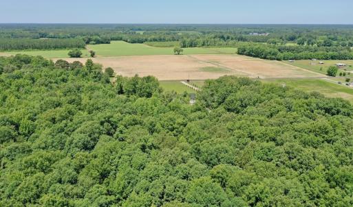 Photo #53 of 141 Arthur Majette Rd, Aulander, NC 22.0 acres