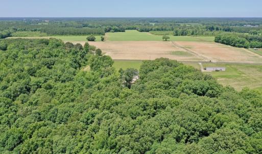 Photo #54 of 141 Arthur Majette Rd, Aulander, NC 22.0 acres