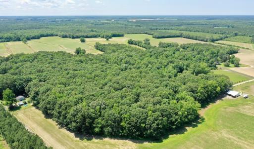 Photo #67 of 141 Arthur Majette Rd, Aulander, NC 22.0 acres