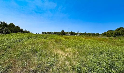 Photo #27 of 19585 Fullers Mill Rd, Boykins, VA 47.0 acres