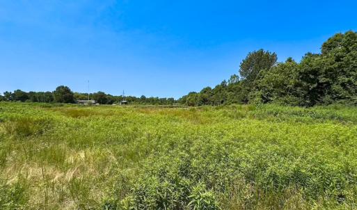 Photo #30 of 19585 Fullers Mill Rd, Boykins, VA 47.0 acres