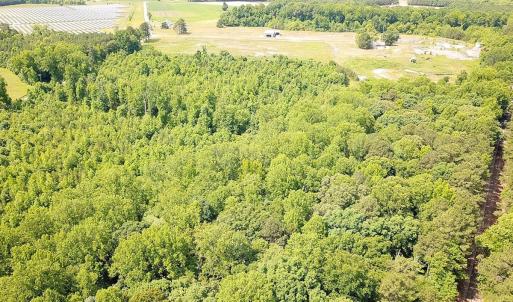 Photo #33 of 19585 Fullers Mill Rd, Boykins, VA 47.0 acres
