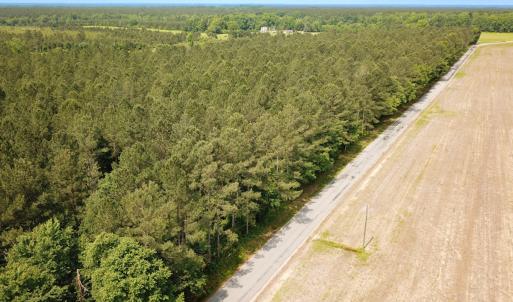 Photo #1 of Off Lebanon Church Rd, Jarratt, VA 38.0 acres