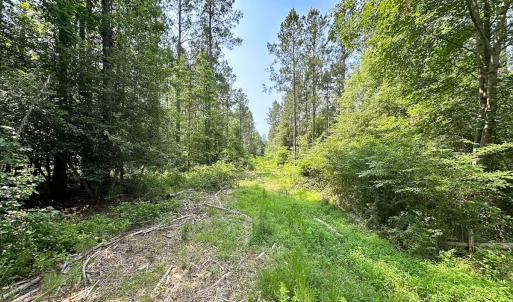 Photo #2 of Off Lebanon Church Rd, Jarratt, VA 38.0 acres