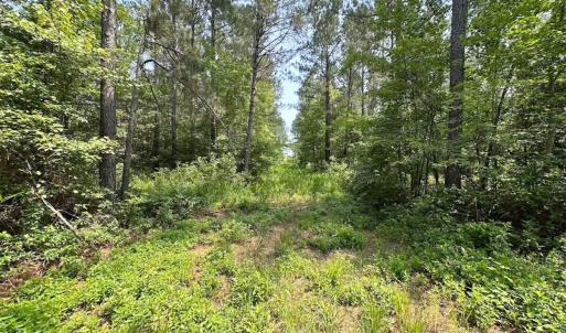 Photo #3 of Off Lebanon Church Rd, Jarratt, VA 38.0 acres