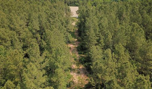 Photo #4 of Off Lebanon Church Rd, Jarratt, VA 38.0 acres