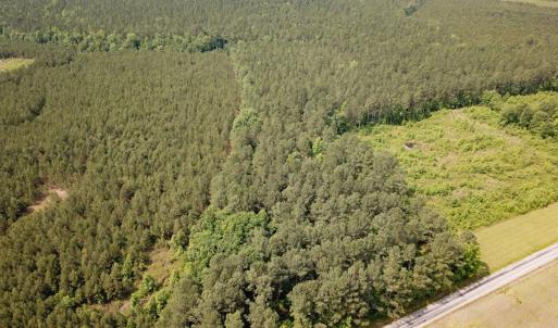 Photo #10 of Off Lebanon Church Rd, Jarratt, VA 38.0 acres