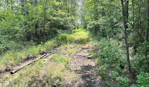 Photo #11 of Off Lebanon Church Rd, Jarratt, VA 38.0 acres