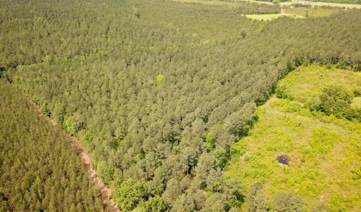 Photo #14 of Off Lebanon Church Rd, Jarratt, VA 38.0 acres