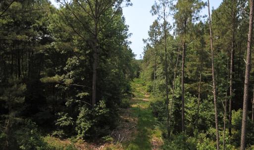 Photo #15 of Off Lebanon Church Rd, Jarratt, VA 38.0 acres