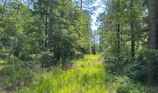 Photo #20 of Off Lebanon Church Rd, Jarratt, VA 38.0 acres