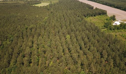 Photo #22 of Off Lebanon Church Rd, Jarratt, VA 38.0 acres
