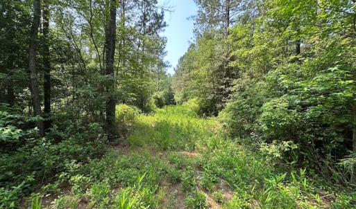 Photo #23 of Off Lebanon Church Rd, Jarratt, VA 38.0 acres