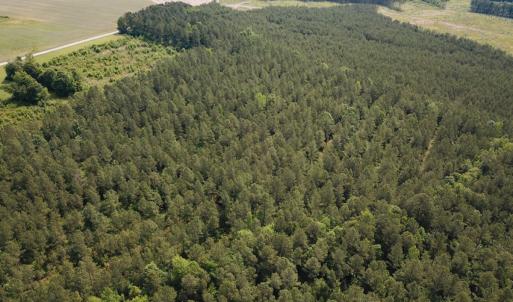 Photo #25 of Off Lebanon Church Rd, Jarratt, VA 38.0 acres