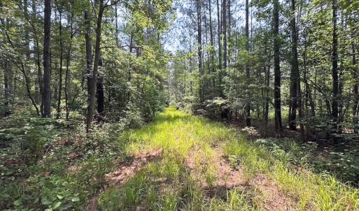 Photo #27 of Off Lebanon Church Rd, Jarratt, VA 38.0 acres