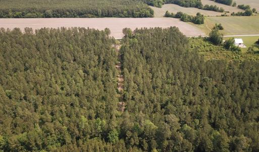 Photo #28 of Off Lebanon Church Rd, Jarratt, VA 38.0 acres