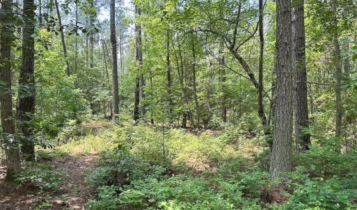 Photo #29 of Off Lebanon Church Rd, Jarratt, VA 38.0 acres