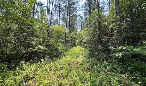 Photo #30 of Off Lebanon Church Rd, Jarratt, VA 38.0 acres