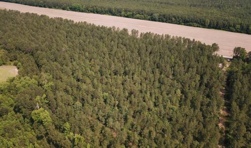 Photo #31 of Off Lebanon Church Rd, Jarratt, VA 38.0 acres