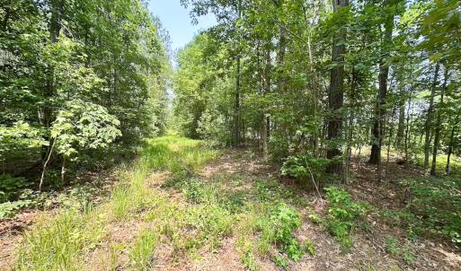 Photo #32 of Off Lebanon Church Rd, Jarratt, VA 38.0 acres