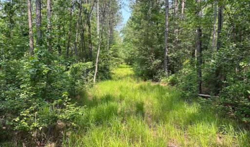 Photo #33 of Off Lebanon Church Rd, Jarratt, VA 38.0 acres
