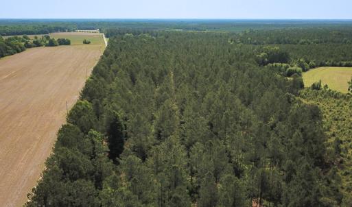 Photo #34 of Off Lebanon Church Rd, Jarratt, VA 38.0 acres