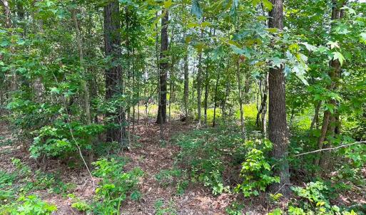 Photo #36 of Off Lebanon Church Rd, Jarratt, VA 38.0 acres