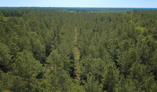 Photo #37 of Off Lebanon Church Rd, Jarratt, VA 38.0 acres