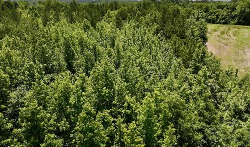 Photo #19 of Off High View Church Rd, Roxboro, NC 2.3 acres