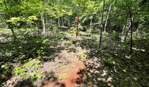 Photo #20 of Off High View Church Rd, Roxboro, NC 2.3 acres