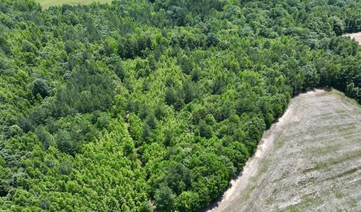 Photo #2 of Off High View Church Rd, Roxboro, NC 2.3 acres