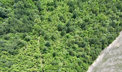 Photo #3 of Off High View Church Rd, Roxboro, NC 2.3 acres