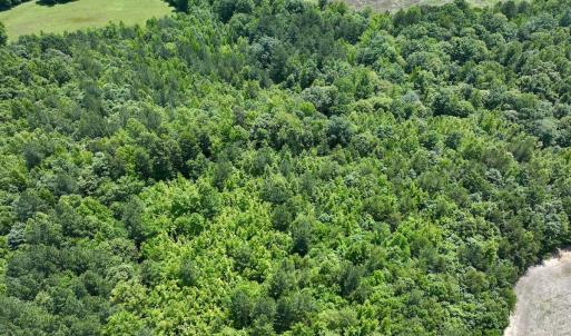 Photo #5 of Off High View Church Rd, Roxboro, NC 2.3 acres