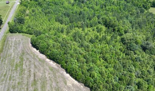 Photo #6 of Off High View Church Rd, Roxboro, NC 2.3 acres