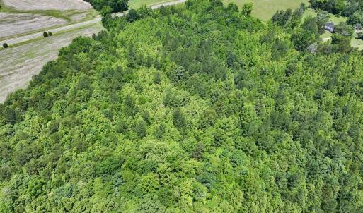 Photo #7 of Off High View Church Rd, Roxboro, NC 2.3 acres