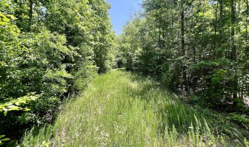 Photo #9 of Off High View Church Rd, Roxboro, NC 2.3 acres