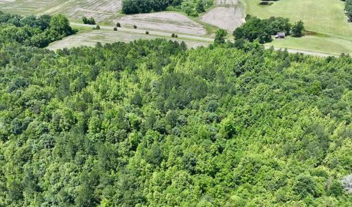 Photo #10 of Off High View Church Rd, Roxboro, NC 2.3 acres