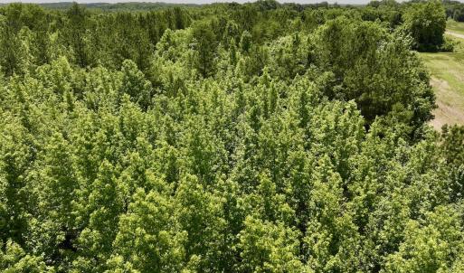 Photo #21 of Off High View Church Rd, Roxboro, NC 2.3 acres