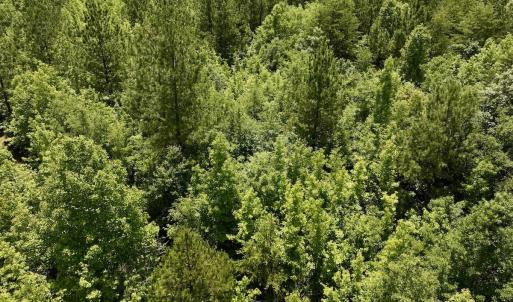 Photo #22 of Off High View Church Rd, Roxboro, NC 2.3 acres