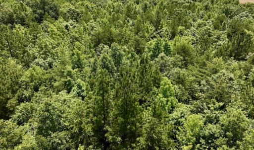 Photo #24 of Off High View Church Rd, Roxboro, NC 2.3 acres