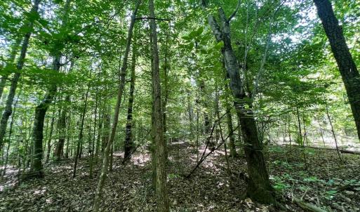 Photo #26 of Off High View Church Rd, Roxboro, NC 2.3 acres