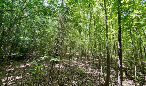 Photo #28 of Off High View Church Rd, Roxboro, NC 2.3 acres